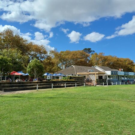 False Bay Rugby Club